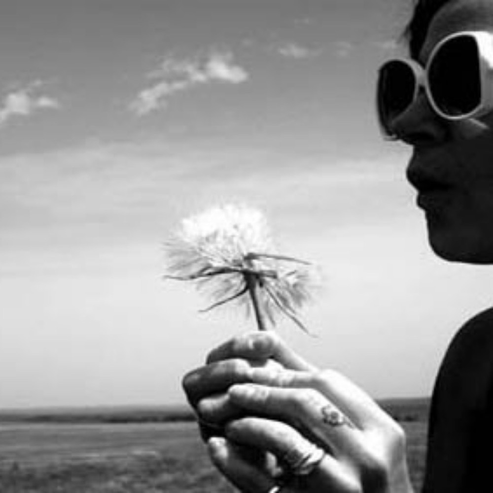 Meet your Posher, Shannon